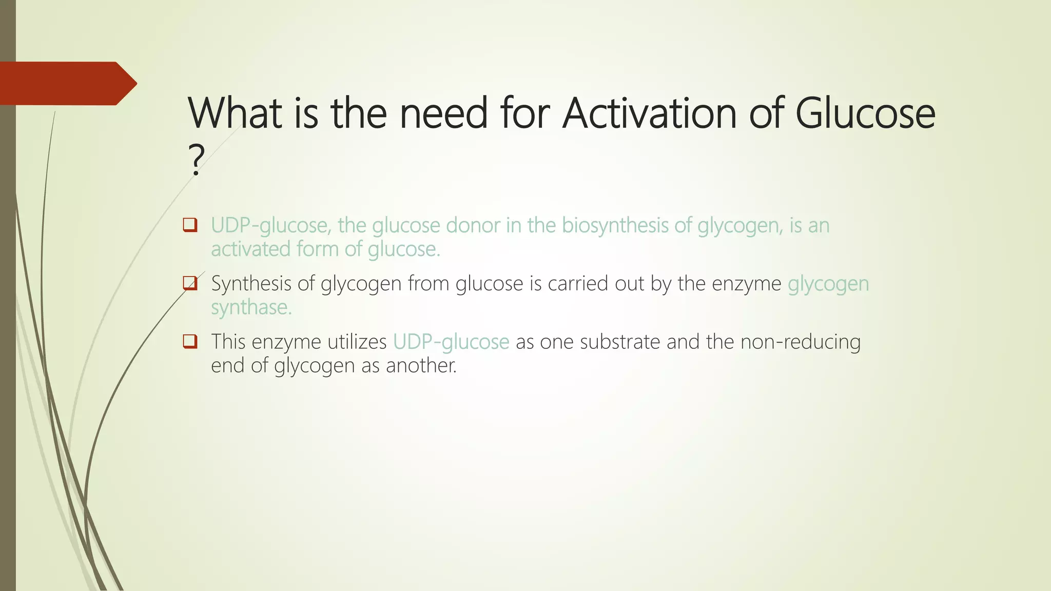 What is the need for Activation of Glucose
?
 UDP-glucose, the glucose donor in the biosynthesis of glycogen, is an
activated form of glucose.
 Synthesis of glycogen from glucose is carried out by the enzyme glycogen
synthase.
 This enzyme utilizes UDP-glucose as one substrate and the non-reducing
end of glycogen as another.
 