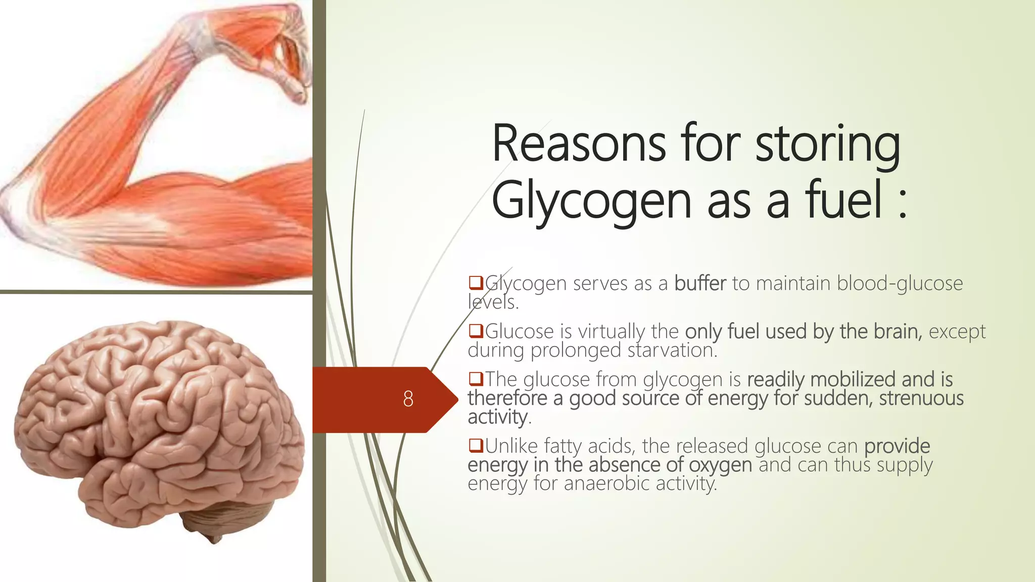 Reasons for storing
Glycogen as a fuel :
Glycogen serves as a buffer to maintain blood-glucose
levels.
Glucose is virtually the only fuel used by the brain, except
during prolonged starvation.
The glucose from glycogen is readily mobilized and is
therefore a good source of energy for sudden, strenuous
activity.
Unlike fatty acids, the released glucose can provide
energy in the absence of oxygen and can thus supply
energy for anaerobic activity.
8
 