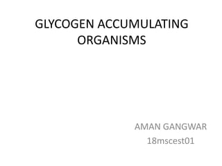 GLYCOGEN ACCUMULATING
ORGANISMS
AMAN GANGWAR
18mscest01
 