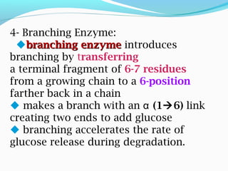 4- Branching Enzyme:
 branching enzymebranching enzyme introduces
branching by transferring
a terminal fragment of 6-7 residues
from a growing chain to a 6-position
farther back in a chain
 makes a branch with an (1α 6) link
creating two ends to add glucose
 branching accelerates the rate of
glucose release during degradation.
 