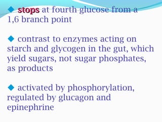  stopsstops at fourth glucose from a
1,6 branch point
 contrast to enzymes acting on
starch and glycogen in the gut, which
yield sugars, not sugar phosphates,
as products
 activated by phosphorylation,
regulated by glucagon and
epinephrine
 