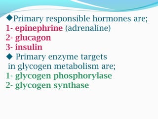 Primary responsible hormones are;
1- epinephrine (adrenaline)
2- glucagon
3- insulin
 Primary enzyme targets
in glycogen metabolism are;
1- glycogen phosphorylase
2- glycogen synthase
 