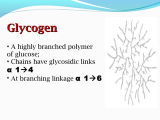 • A highly branched polymer
of glucose;
• Chains have glycosidic links
α 14
• At branching linkage α 16
GlycogenGlycogen
 