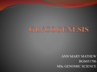 ANN MARY MATHEW
BGS051706
MSc GENOMIC SCIENCE
 