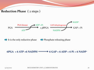 Glycogenesis | PPTX