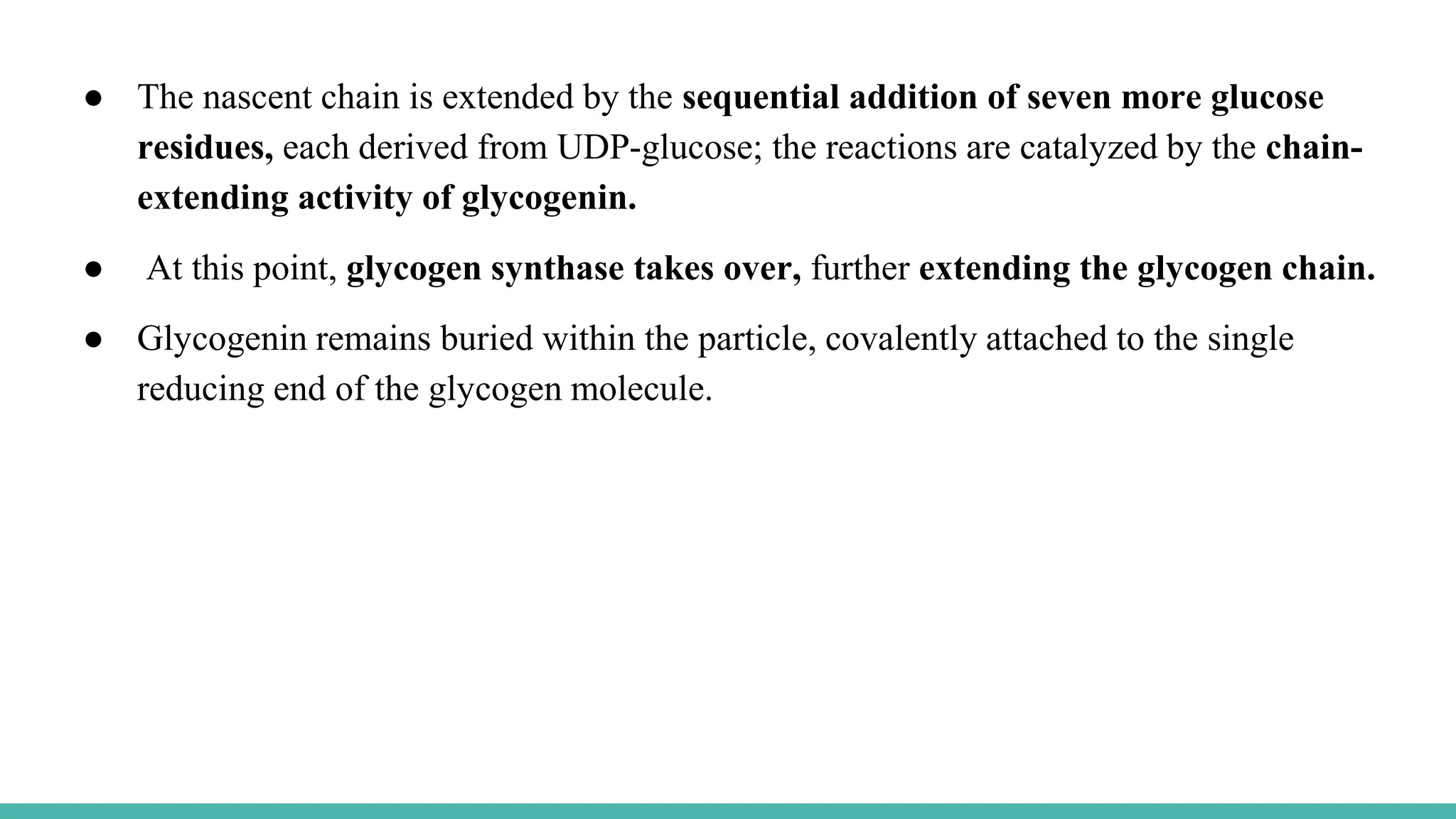 ● The nascent chain is extended by the sequential addition of seven more glucose
residues, each derived from UDP-glucose; the reactions are catalyzed by the chain-
extending activity of glycogenin.
● At this point, glycogen synthase takes over, further extending the glycogen chain.
● Glycogenin remains buried within the particle, covalently attached to the single
reducing end of the glycogen molecule.
 
