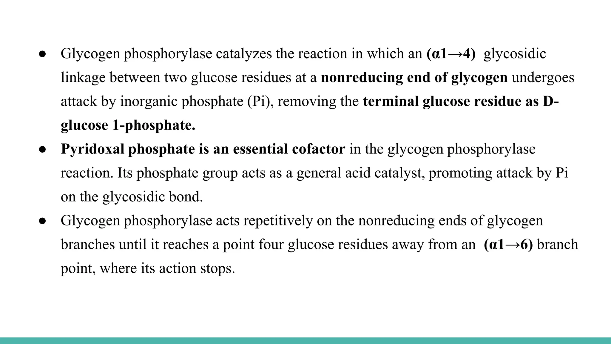 ● Glycogen phosphorylase catalyzes the reaction in which an (α1→4) glycosidic
linkage between two glucose residues at a nonreducing end of glycogen undergoes
attack by inorganic phosphate (Pi), removing the terminal glucose residue as D-
glucose 1-phosphate.
● Pyridoxal phosphate is an essential cofactor in the glycogen phosphorylase
reaction. Its phosphate group acts as a general acid catalyst, promoting attack by Pi
on the glycosidic bond.
● Glycogen phosphorylase acts repetitively on the nonreducing ends of glycogen
branches until it reaches a point four glucose residues away from an (α1→6) branch
point, where its action stops.
 