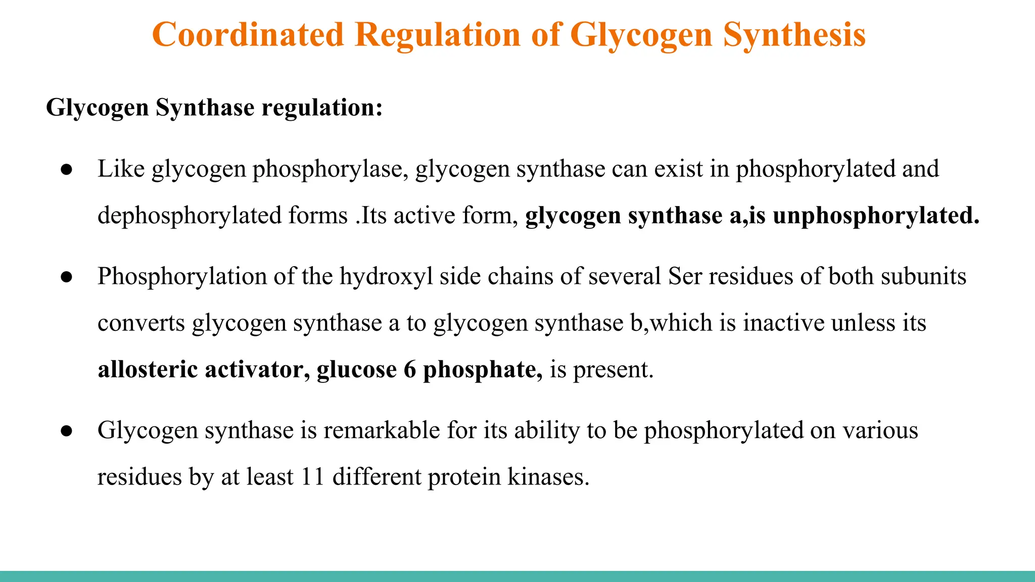 Glycogen Synthase regulation:
● Like glycogen phosphorylase, glycogen synthase can exist in phosphorylated and
dephosphorylated forms .Its active form, glycogen synthase a,is unphosphorylated.
● Phosphorylation of the hydroxyl side chains of several Ser residues of both subunits
converts glycogen synthase a to glycogen synthase b,which is inactive unless its
allosteric activator, glucose 6 phosphate, is present.
● Glycogen synthase is remarkable for its ability to be phosphorylated on various
residues by at least 11 different protein kinases.
Coordinated Regulation of Glycogen Synthesis
 