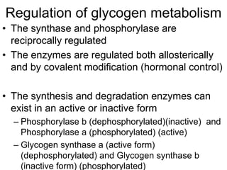 Regulation of glycogen metabolism
• The synthase and phosphorylase are
reciprocally regulated
• The enzymes are regulated both allosterically
and by covalent modification (hormonal control)
• The synthesis and degradation enzymes can
exist in an active or inactive form
– Phosphorylase b (dephosphorylated)(inactive) and
Phosphorylase a (phosphorylated) (active)
– Glycogen synthase a (active form)
(dephosphorylated) and Glycogen synthase b
(inactive form) (phosphorylated)
 