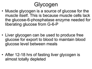 Glycogen
• Muscle glycogen is a source of glucose for the
muscle itself. This is because muscle cells lack
the glucose-6-phosphatase enzyme needed for
liberating glucose from G-6-P
• Liver glycogen can be used to produce free
glucose for export to blood to maintain blood
glucose level between meals
• After 12-18 hrs of fasting liver glycogen is
almost totally depleted
 