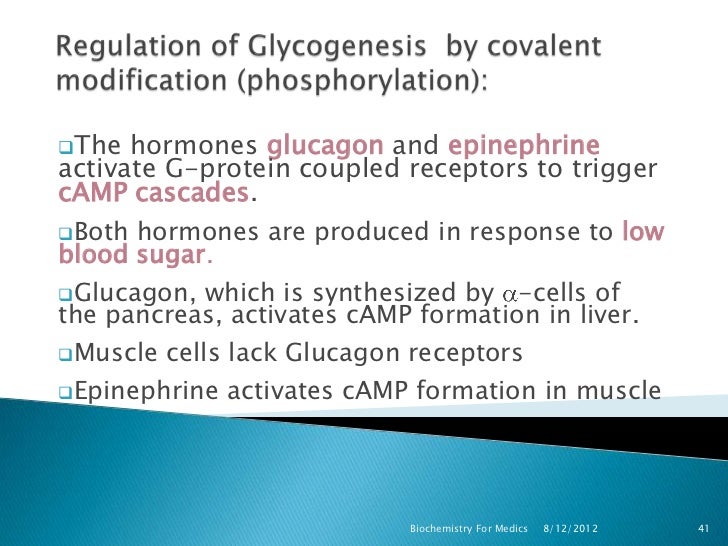 Glycogen metabolism