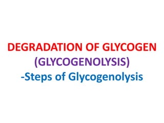 DEGRADATION OF GLYCOGEN
(GLYCOGENOLYSIS)
-Steps of Glycogenolysis
 
