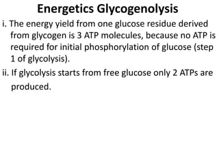 Energetics Glycogenolysis
i. The energy yield from one glucose residue derived
from glycogen is 3 ATP molecules, because no ATP is
required for initial phosphorylation of glucose (step
1 of glycolysis).
ii. If glycolysis starts from free glucose only 2 ATPs are
produced.
 