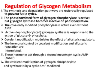 Regulation of Glycogen Metabolism
i. The synthesis and degradation pathways are reciprocally regulated
to prevent futile cycles.
ii. The phosphorylated form of glycogen phosphorylase is active;
but glycogen synthase becomes inactive on phosphorylation.
 The covalently modified phosphorylase is active even without
AMP.
 Active (dephosphorylated) glycogen synthase is responsive to the
action of glucose-6- phosphate.
 Covalent modification modulates the effect of allosteric regulators.
 The hormonal control by covalent modification and allosteric
regulation are
interrelated.
iii. These hormones act through a second messenger, cyclic AMP
(cAMP)
iv. The covalent modification of glycogen phosphorylase
and synthase is by a cyclic AMP mediated
 