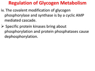 Regulation of Glycogen Metabolism
iv. The covalent modification of glycogen
phosphorylase and synthase is by a cyclic AMP
mediated cascade.
 Specific protein kinases bring about
phosphorylation and protein phosphatases cause
dephosphorylation.
 