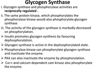 Glycogen Synthase
i. Glycogen synthase and phosphorylase activities are
reciprocally regulated .
ii. The same protein kinase, which phosphorylates the
phosphorylase kinase would also phosphorylate glycogen
synthase.
iii. The activity of the glycogen synthase is markedly decreased
on phosphorylation.
 Insulin promotes glycogen synthesis by favouring
dephosphorylation.
 Glycogen synthase is active in the dephosphorylated state.
 Phosphorylase kinase can phosphorylate glycogen synthase
and inactivate the enzyme.
 PKA can also inactivate the enzyme by phosphorylation.
 Ca++ and calcium dependent cam kinase also phosphorylate
the enzyme.
 