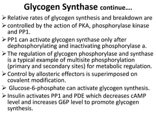 Glycogen Synthase continue….
Relative rates of glycogen synthesis and breakdown are
controlled by the action of PKA, phosphorylase kinase
and PP1.
PP1 can activate glycogen synthase only after
dephosphorylating and inactivating phosphorylase a.
The regulation of glycogen phosphorylase and synthase
is a typical example of multisite phosphorylation
(primary and secondary sites) for metabolic regulation.
Control by allosteric effectors is superimposed on
covalent modification.
 Glucose-6-phosphate can activate glycogen synthesis.
Insulin activates PP1 and PDE which decreases cAMP
level and increases G6P level to promote glycogen
synthesis.
 