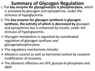 Summary of Glycogen Regulation
i. The key enzyme for glycogenolysis is phosphorylase, which
is activated by glucagon and epinephrine, under the
stimulus of hypoglycemia.
ii. The key enzyme for glycogen synthesis is glycogen
synthase, the activity of which is decreased by glucagon
and epinephrine but is enhanced by insulin, under the
stimulus of hyperglycemia .
 Glycogen metabolism is regulated by coordinated
regulation of glycogen synthase and
glycogenphosphorylase.
 The regulatory mechanisms include:
 Allosteric control as well as hormonal control by covalent
modification of enzymes.
 The allosteric effectors are ATP, glucose-6-phosphate and
AMP.
 