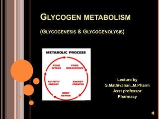 GLYCOGEN METABOLISM
(GLYCOGENESIS & GLYCOGENOLYSIS)
Lecture by
S.Mathivanan.,M.Pharm
Asst professor
Pharmacy
 