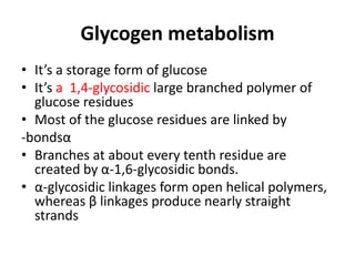• It’s a storage form of glucose
• It’s a 1,4-glycosidic large branched polymer of
glucose residues
• Most of the glucose residues are linked by
-bondsα
• Branches at about every tenth residue are
created by α-1,6-glycosidic bonds.
• α-glycosidic linkages form open helical polymers,
whereas β linkages produce nearly straight
strands
Glycogen metabolism
 