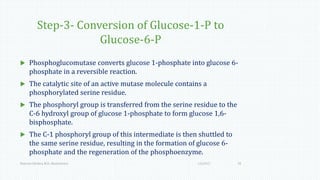 Step-3- Conversion of Glucose-1-P to
Glucose-6-P
 Phosphoglucomutase converts glucose 1-phosphate into glucose 6-
phosphate in a reversible reaction.
 The catalytic site of an active mutase molecule contains a
phosphorylated serine residue.
 The phosphoryl group is transferred from the serine residue to the
C-6 hydroxyl group of glucose 1-phosphate to form glucose 1,6-
bisphosphate.
 The C-1 phosphoryl group of this intermediate is then shuttled to
the same serine residue, resulting in the formation of glucose 6-
phosphate and the regeneration of the phosphoenzyme.
1/6/2017Namrata Chhabra, M.D., Biochemistry 19
 