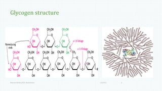Glycogen structure
1/6/2017Namrata Chhabra, M.D., Biochemistry 4
 