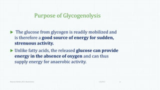 Purpose of Glycogenolysis
 The glucose from glycogen is readily mobilized and
is therefore a good source of energy for sudden,
strenuous activity.
 Unlike fatty acids, the released glucose can provide
energy in the absence of oxygen and can thus
supply energy for anaerobic activity.
1/6/2017Namrata Chhabra, M.D., Biochemistry 6
 