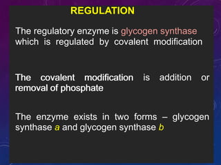 The regulatory enzyme is glycogen synthase
which is regulated by covalent modification
is addition orThe covalent modification
removal of phosphate
The enzyme exists in two forms – glycogen
synthase a and glycogen synthase b
The covalent modification
removal of phosphate
REGULATION
 
