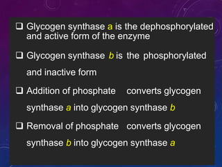  Glycogen synthase a is the dephosphorylated
and active form of the enzyme
 Glycogen synthase b is the phosphorylated
and inactive form
 Addition of phosphate converts glycogen
synthase a into glycogen synthase b
 Removal of phosphate converts glycogen
synthase b into glycogen synthase a
 