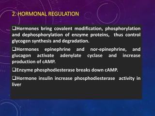 2. HORMONAL REGULATION
Hormones bring covalent modification, phosphorylation
and dephosphorylation of enzyme proteins, thus control
glycogen synthesis and degradation.
Hormones epinephrine and nor-epinephrine, and
glucagon activate adenylate cyclase and increase
production of cAMP.
Enzyme phosphodiesterase breaks down cAMP.
Hormone insulin increase phosphodiesterase activity in
liver
 