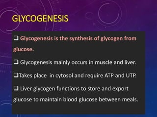 GLYCOGENESIS
 Glycogenesis is the synthesis of glycogen from
glucose.
 Glycogenesis mainly occurs in muscle and liver.
Takes place in cytosol and require ATP and UTP.
 Liver glycogen functions to store and export
glucose to maintain blood glucose between meals.
 