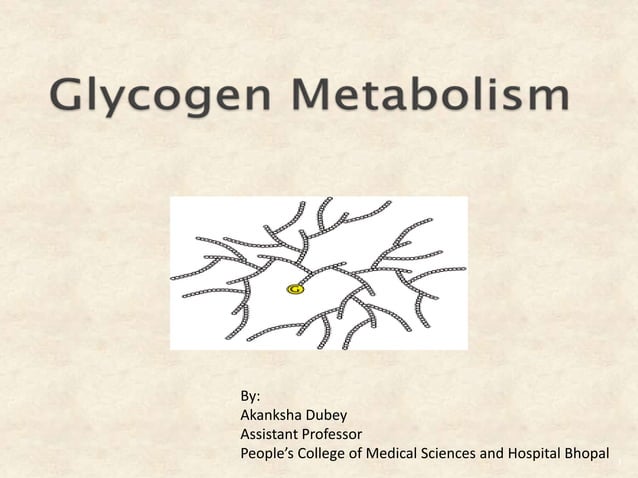 Glycogen metabolism and its regulation | PPTX | Endocrine and Metabolic ...