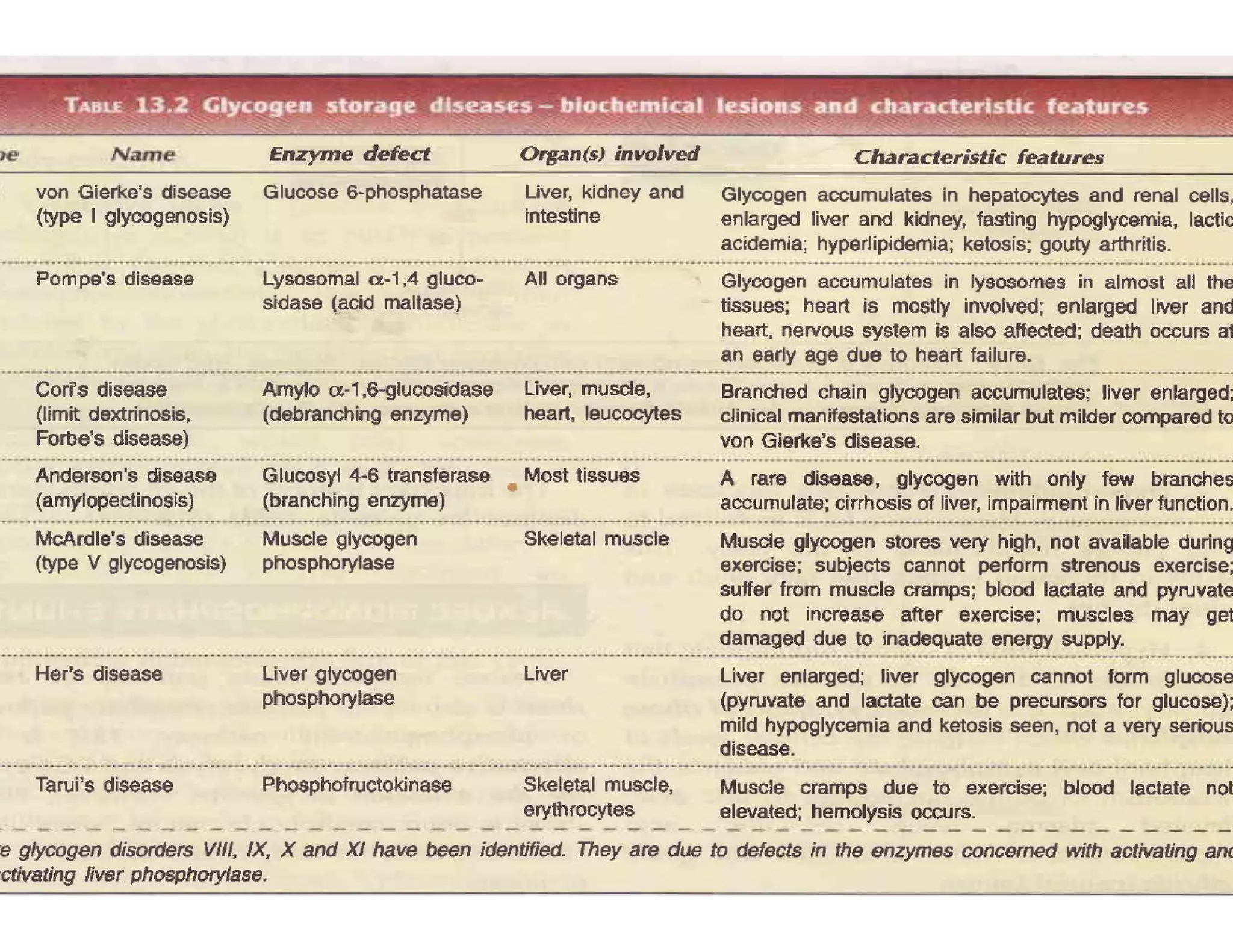 Glycogen metabolism pathway | PDF