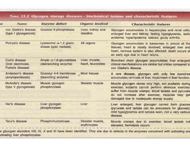 Glycogen metabolism pathway | PDF | Endocrine and Metabolic Diseases ...