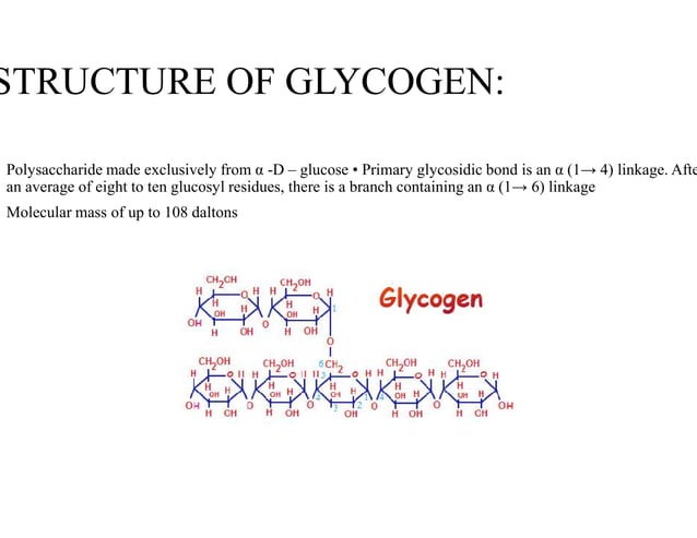 Glycogen metabolism pathway | PDF | Endocrine and Metabolic Diseases ...