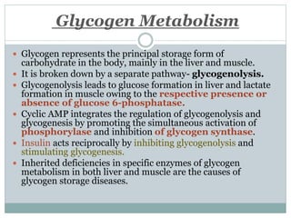 Curated visual reference: Visual Reference: Glycogen Metabolism Pathways Pptx