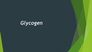 Glycogen
 