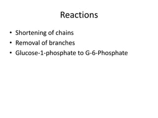 Reactions
• Shortening of chains
• Removal of branches
• Glucose-1-phosphate to G-6-Phosphate
 