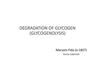 DEGRADATION OF GLYCOGEN
(GLYCOGENOLYSIS)
Maryam Fida (o-1827)
Source: Lippincott
 