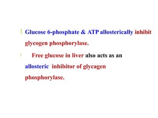 glycogenolysis-converted.pptxbreakdown of glycogen | PPTX