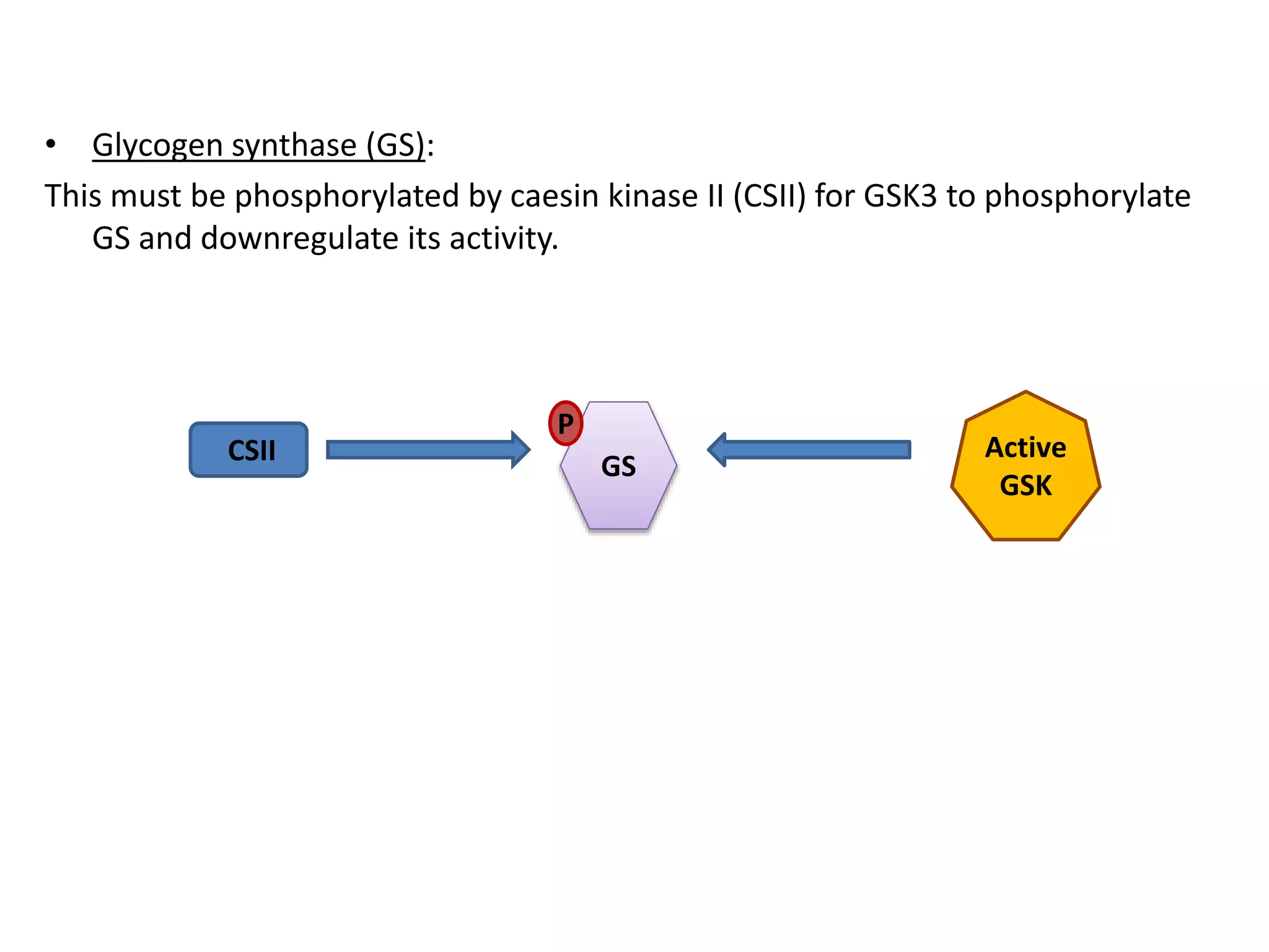 Glycogen synthase kinase-3 beta.pptx