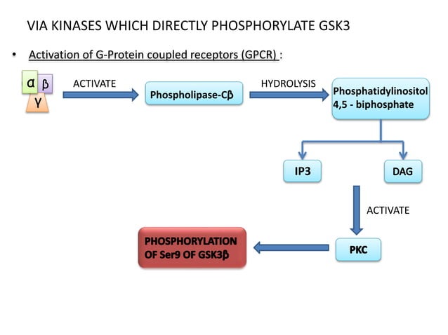 Glycogen synthase kinase-3 beta.pptx