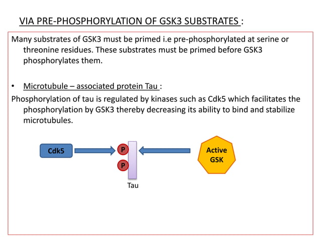 Glycogen synthase kinase-3 beta.pptx