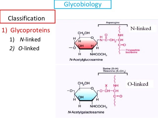 Glycolbiology