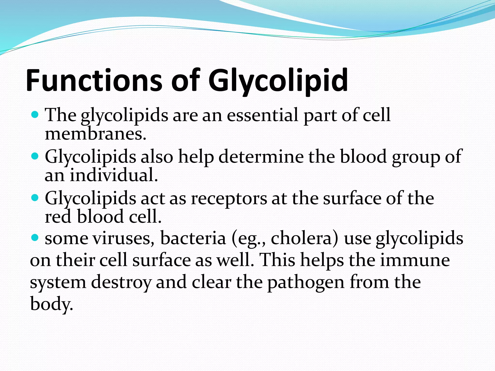 Functions of Glycolipid 
 The glycolipids are an essential part of cell 
membranes. 
 Glycolipids also help determine the blood group of 
an individual. 
 Glycolipids act as receptors at the surface of the 
red blood cell. 
 some viruses, bacteria (eg., cholera) use glycolipids 
on their cell surface as well. This helps the immune 
system destroy and clear the pathogen from the 
body. 
 