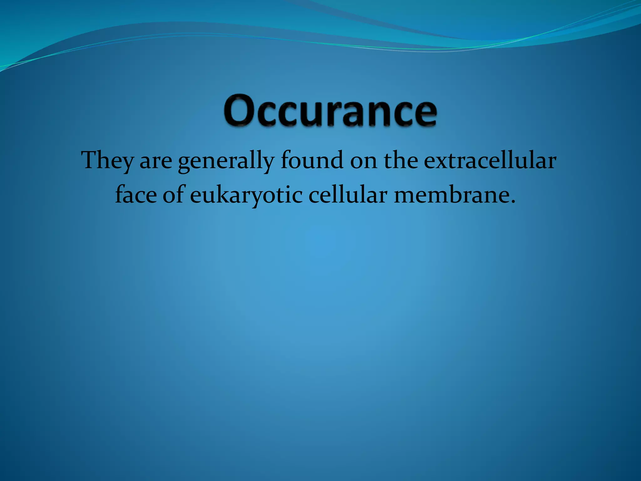 They are generally found on the extracellular 
face of eukaryotic cellular membrane. 
 