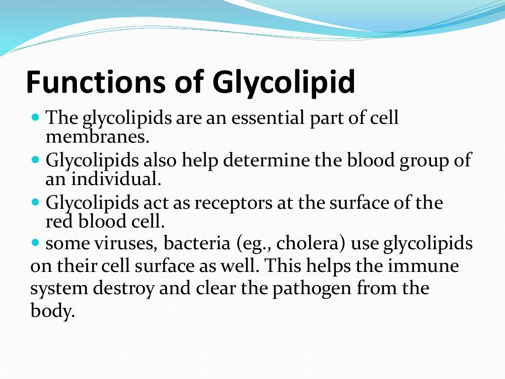 Glycolipid ppt