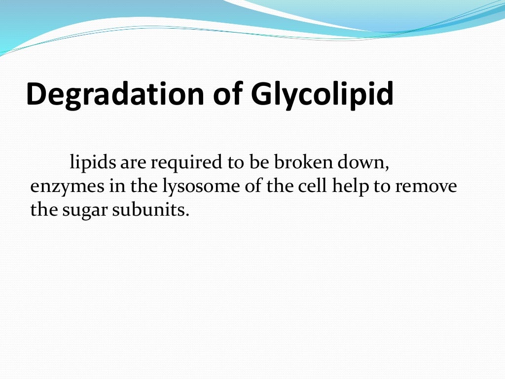 Glycolipid ppt
