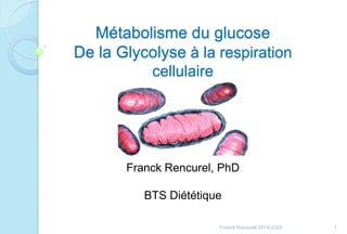Métabolisme du glucose
De la Glycolyse à la respiration
cellulaire
Franck Rencurel, PhD
BTS Diététique
1Franck Rencurel 2019-2020
 