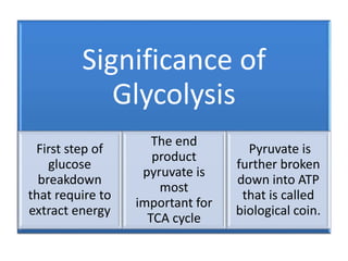 Significance of
Glycolysis
First step of
glucose
breakdown
that require to
extract energy
The end
product
pyruvate is
most
important for
TCA cycle
Pyruvate is
further broken
down into ATP
that is called
biological coin.
 